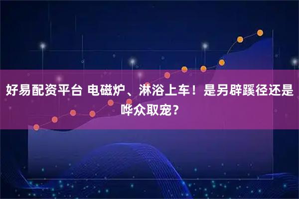好易配资平台 电磁炉、淋浴上车！是另辟蹊径还是哗众取宠？