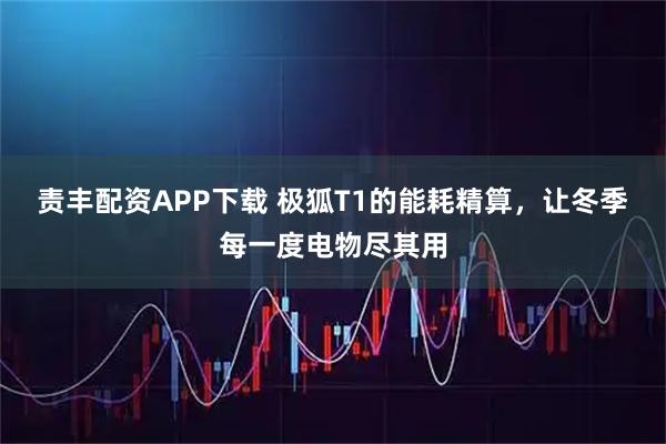 责丰配资APP下载 极狐T1的能耗精算，让冬季每一度电物尽其用