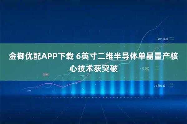 金御优配APP下载 6英寸二维半导体单晶量产核心技术获突破