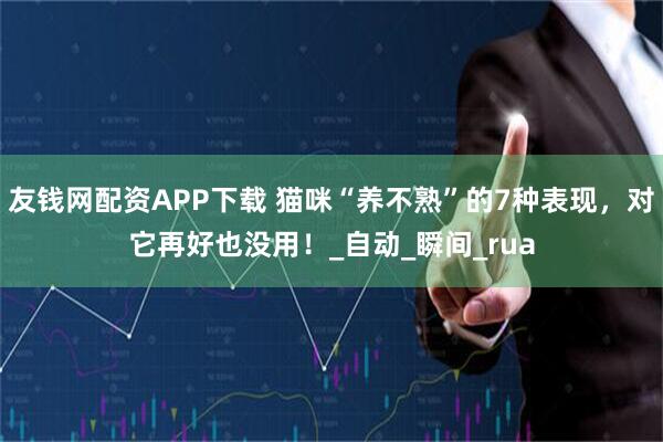 友钱网配资APP下载 猫咪“养不熟”的7种表现，对它再好也没用！_自动_瞬间_rua