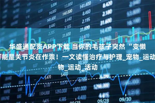 华盛通配资APP下载 当你的毛孩子突然 “变懒”，可能是关节炎在作祟！一文读懂治疗与护理_宠物_运动_活动
