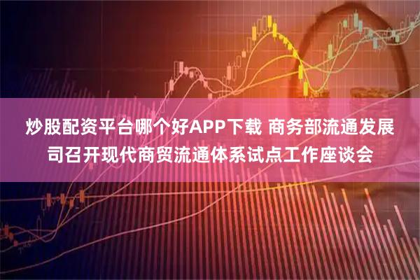 炒股配资平台哪个好APP下载 商务部流通发展司召开现代商贸流通体系试点工作座谈会