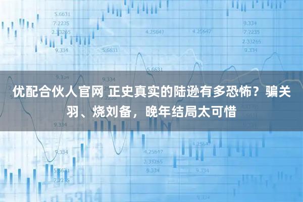 优配合伙人官网 正史真实的陆逊有多恐怖？骗关羽、烧刘备，晚年结局太可惜